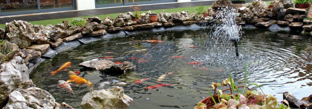 Lago - Centro Sénior Associação Lar Emanuel